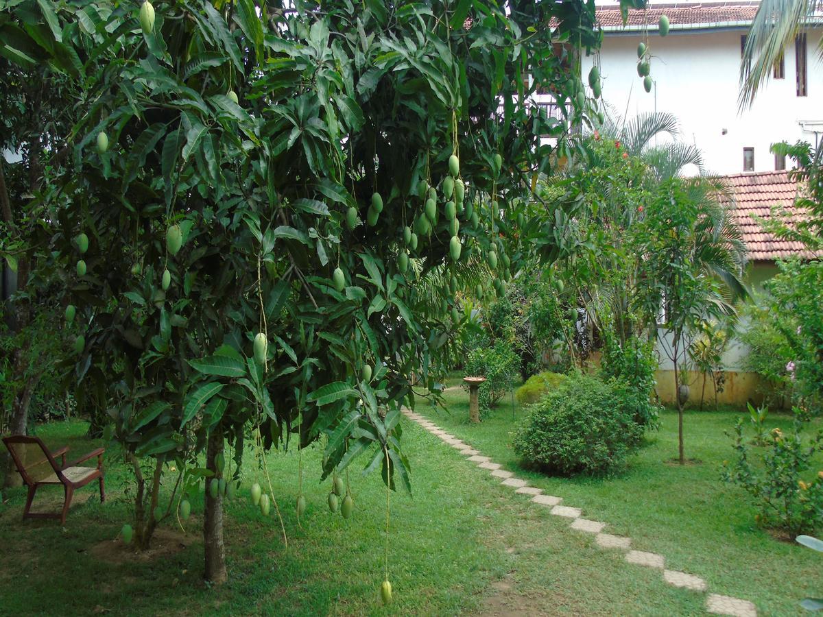 Hotel Secret Bay Matara Exterior foto